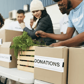 Non-Profit & Charity